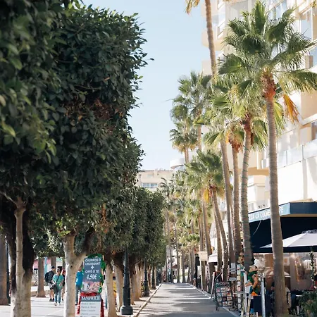 En Pleno Paseo Maritimo De Marbella.