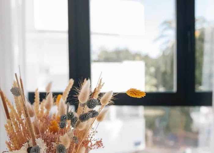 En Pleno Paseo Maritimo De Marbella.