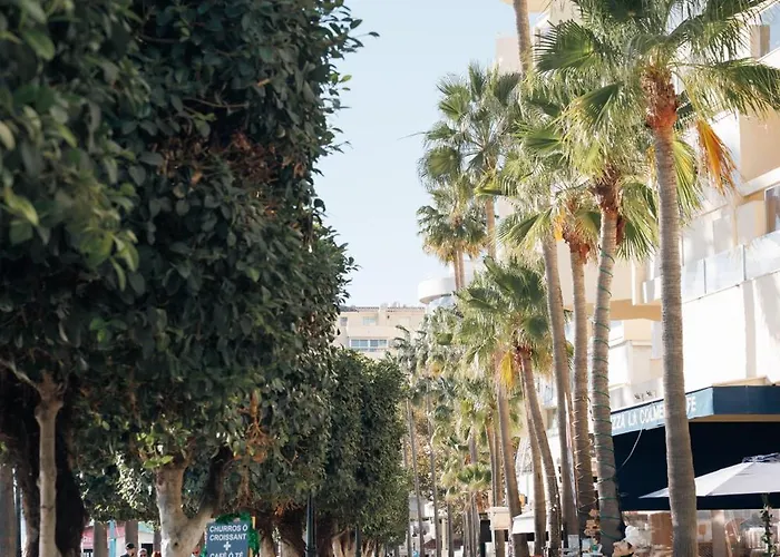 En Pleno Paseo Maritimo De Marbella.