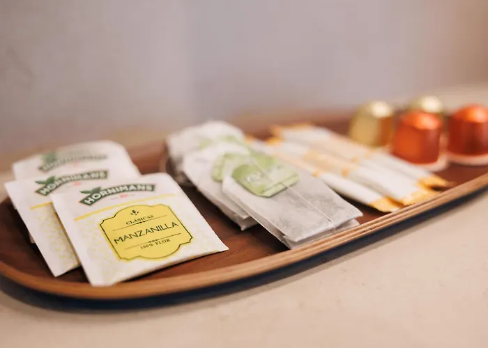 Daire En Pleno Paseo Maritimo De Marbella. Marbella